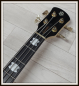 Preview: Spector Icon NS-2 Bolt-On, Black Gloss